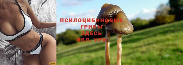спайс Россошь