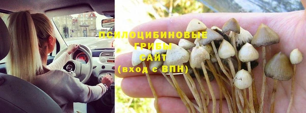 твердый Рославль