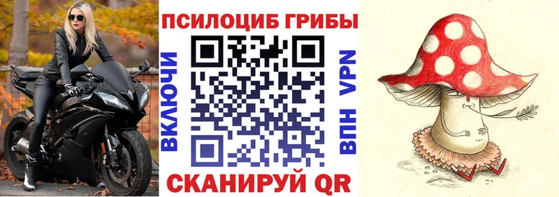 Галлюциногенные грибы прущие грибы Снежногорск